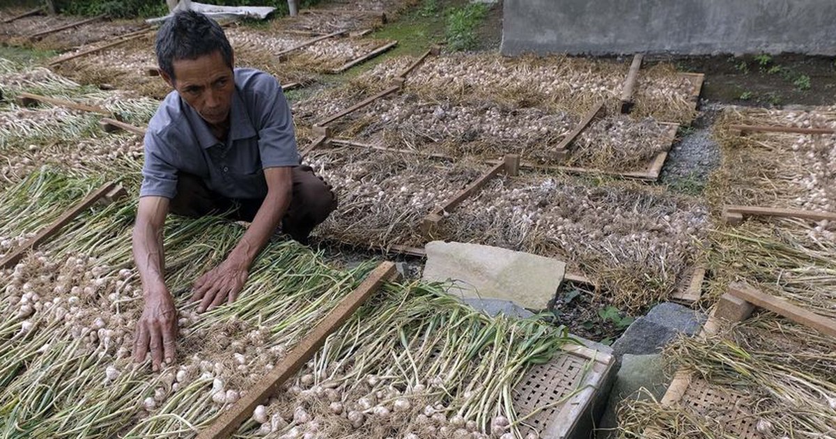 Prabowo: Indonesia Bertekad Hentikan Impor Bawang Putih dalam 3-4 Tahun