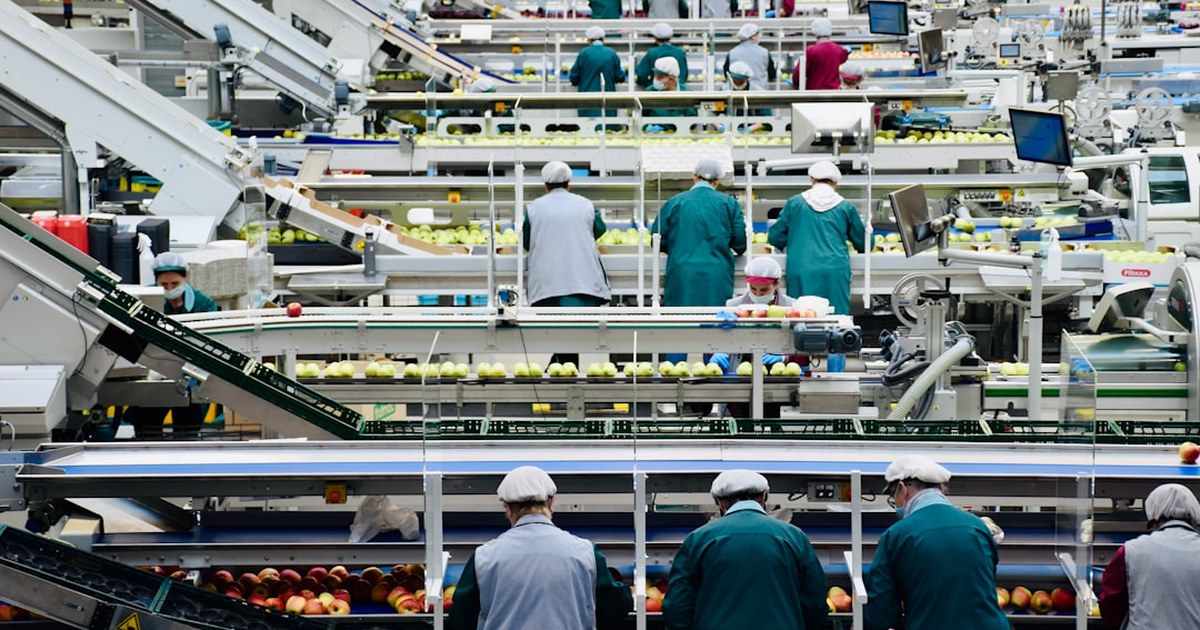Cara Memverifikasi Legalitas dan Reputasi Supplier di Marketplace China Sebelum Order Besar